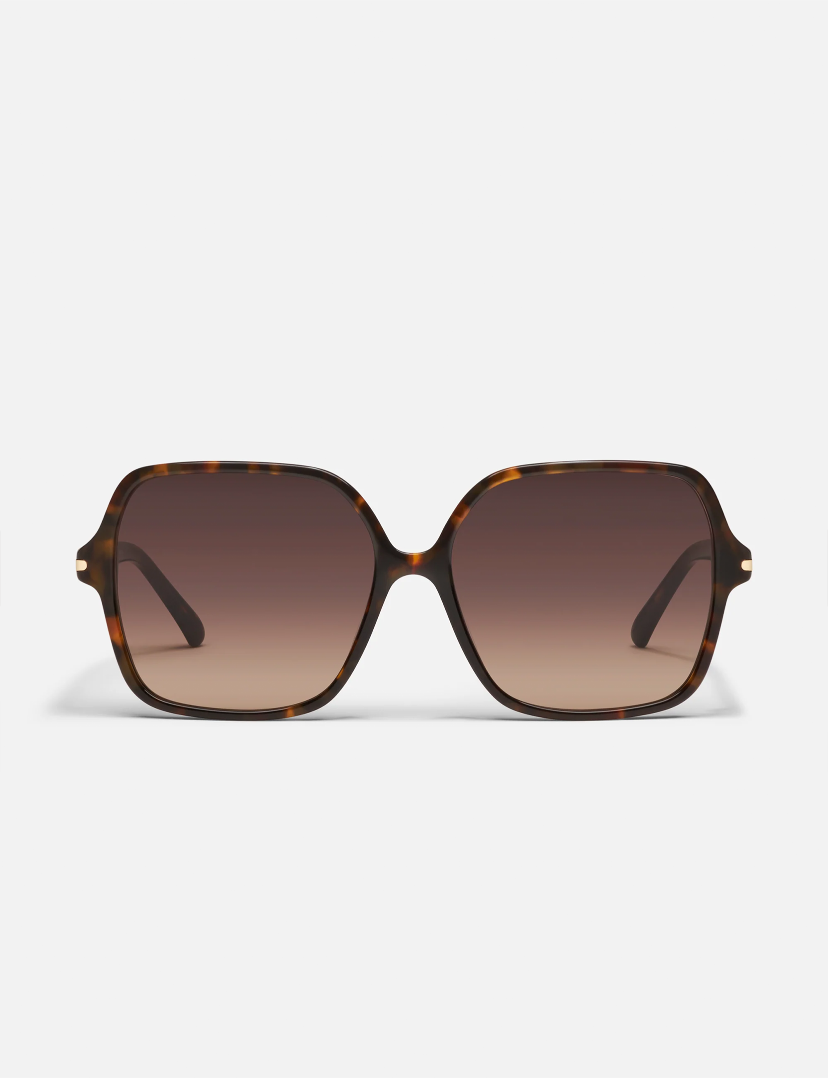 Press Tour, Neutral Tort/Dark Fawn