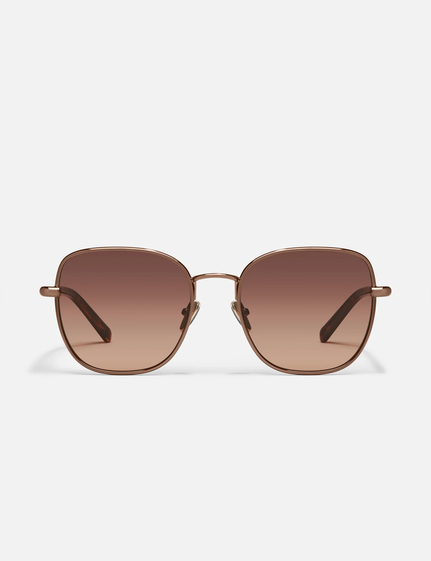 Uptown, Chocolate/Brown Fawn