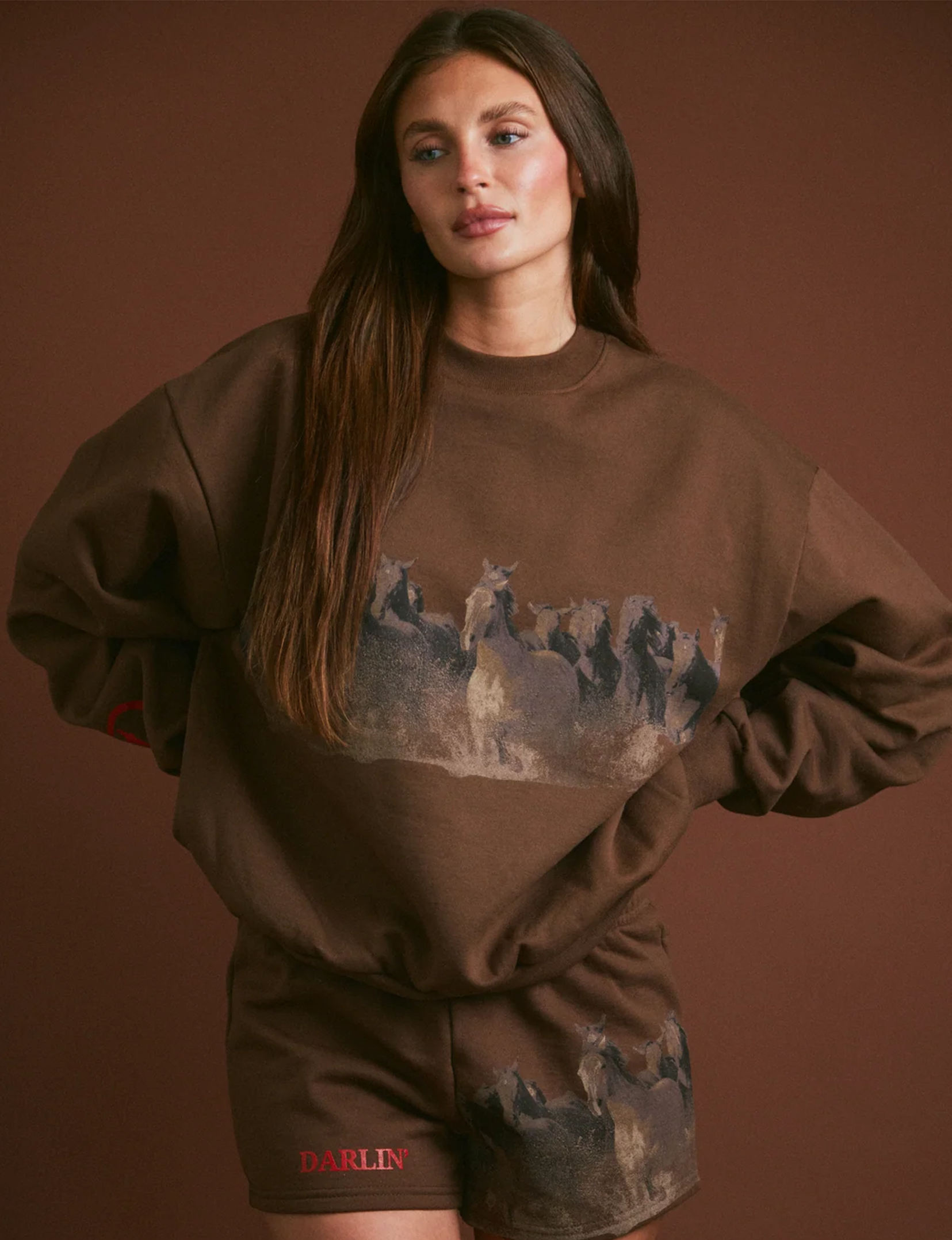 Wild Horse Crewneck, Tobacco