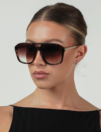 Reina, Tort/Brown Fade