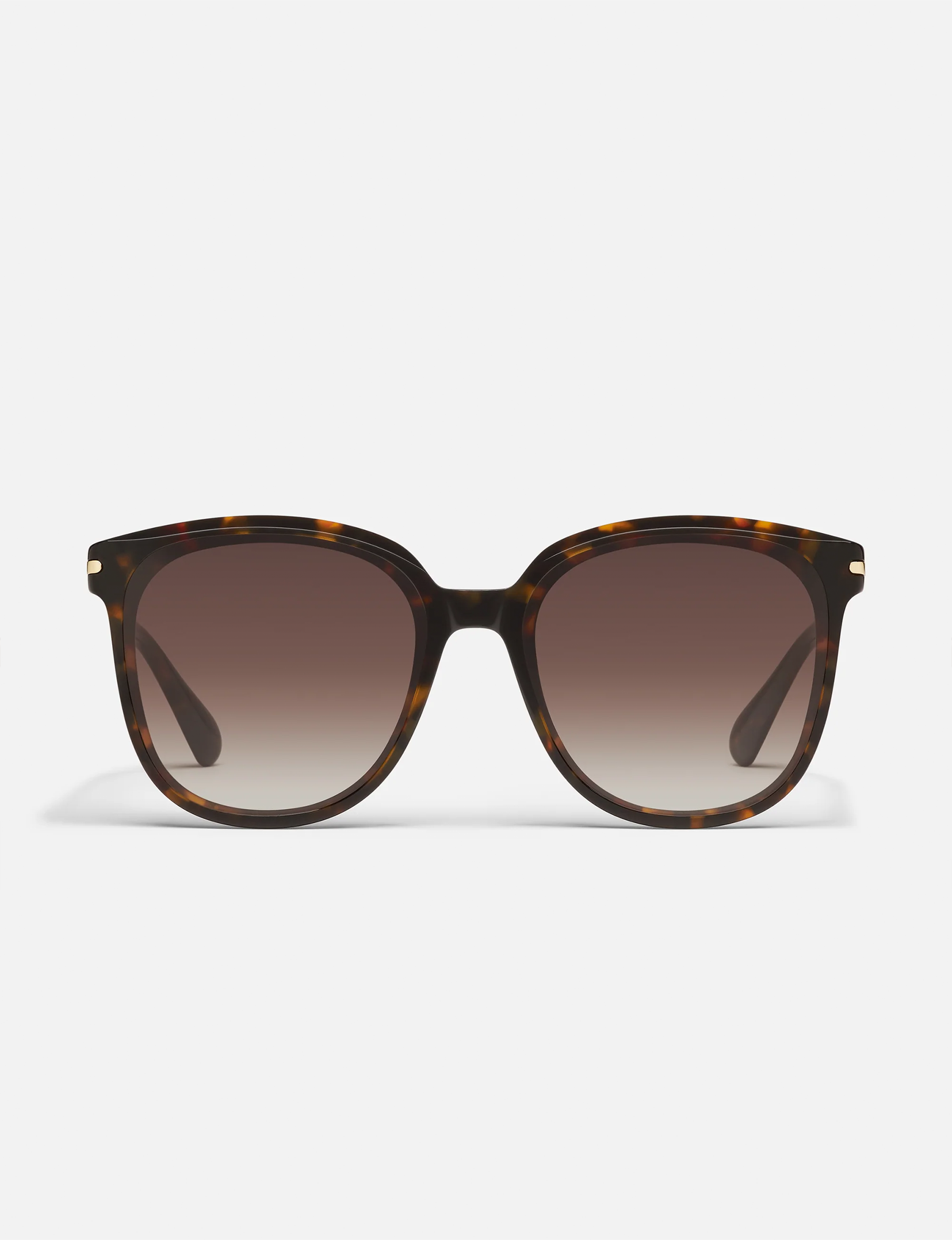 Rent Free, Neutral Tort/Brown