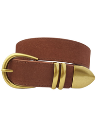 Casual Gold Buckle Belt, Brown