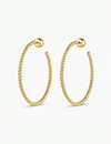 Crew Large Hoops, Gold