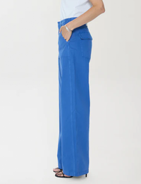 Wren Relaxed Straight Utility Pant, Ciel