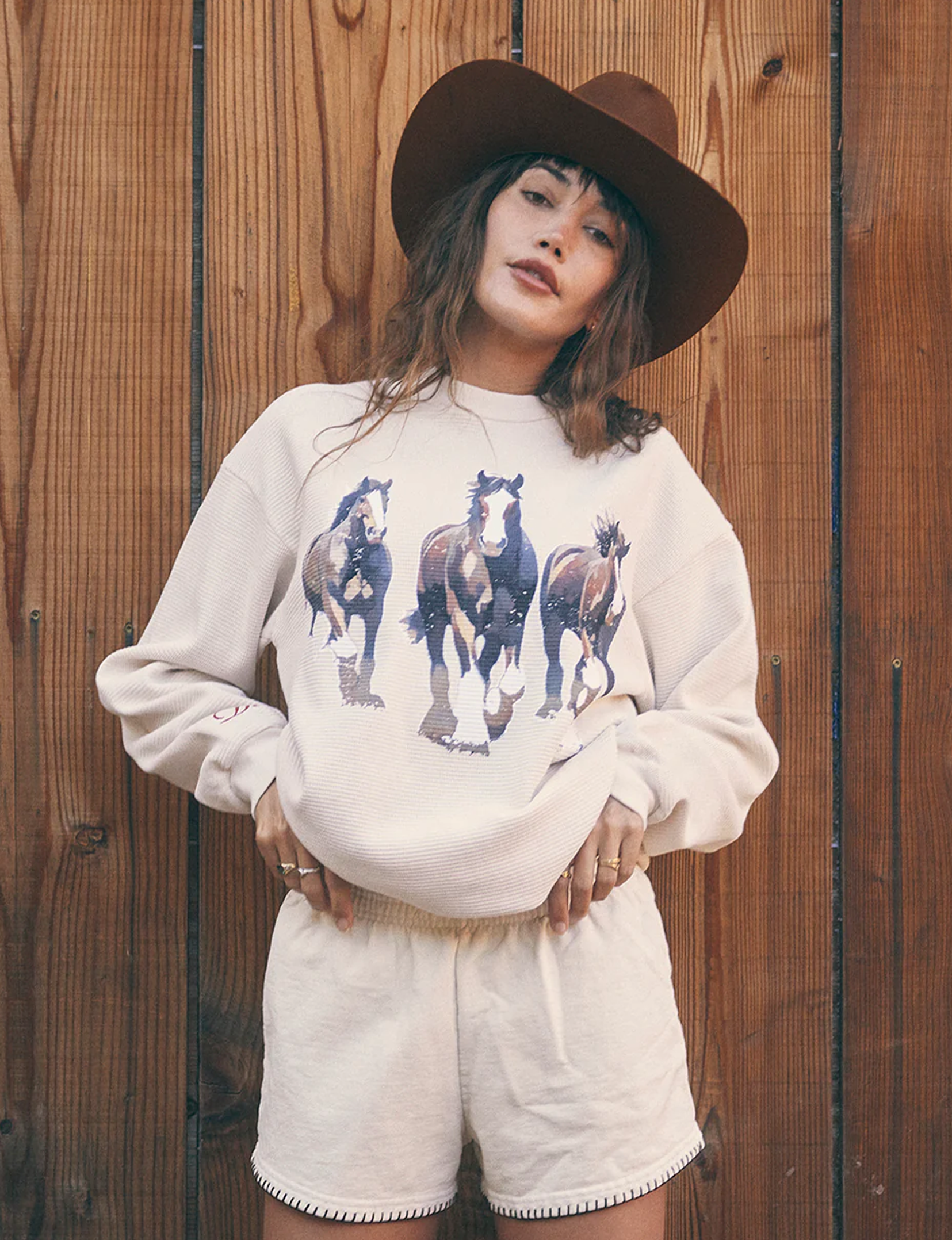 Clydesdale Thermal, Creme