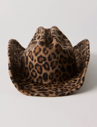 McGraw Felt Cowboy Hat, Leopard