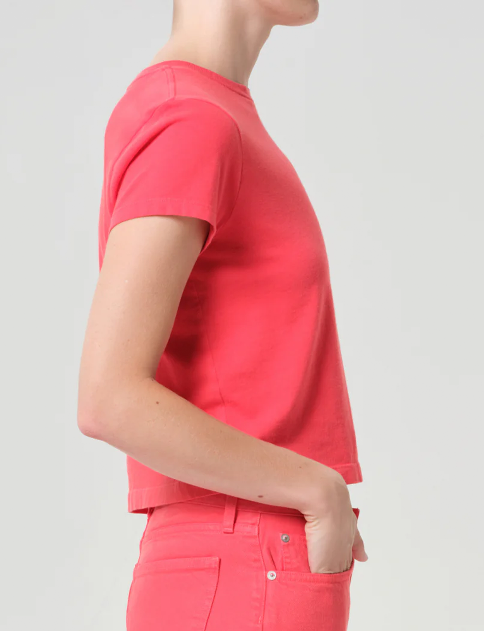 Adine Shrunken Tee, Carnival