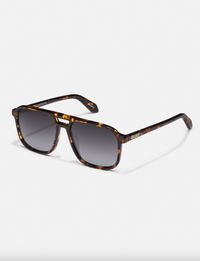 On The Fly Polarized, Tort/Smoke