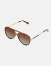 High Profile Polarized, Brown Tort/Brown