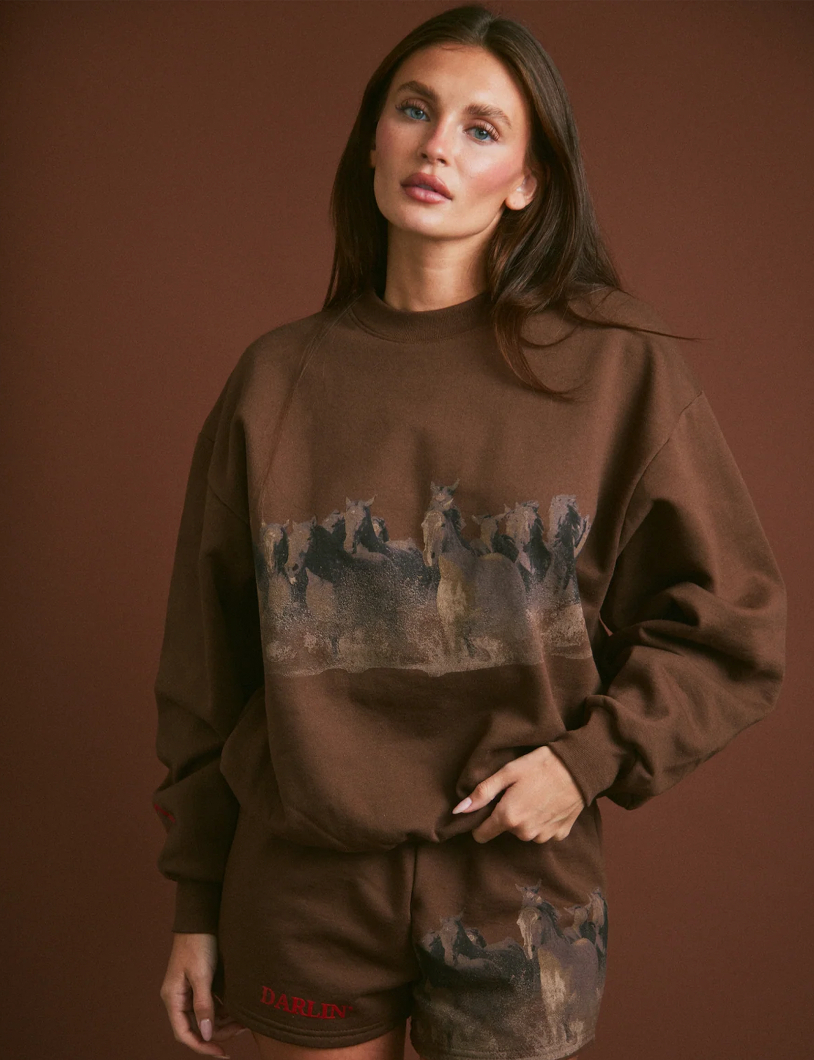 Wild Horse Crewneck, Tobacco