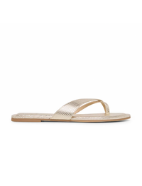 Lenex Flat, Platinum Embossed Stella