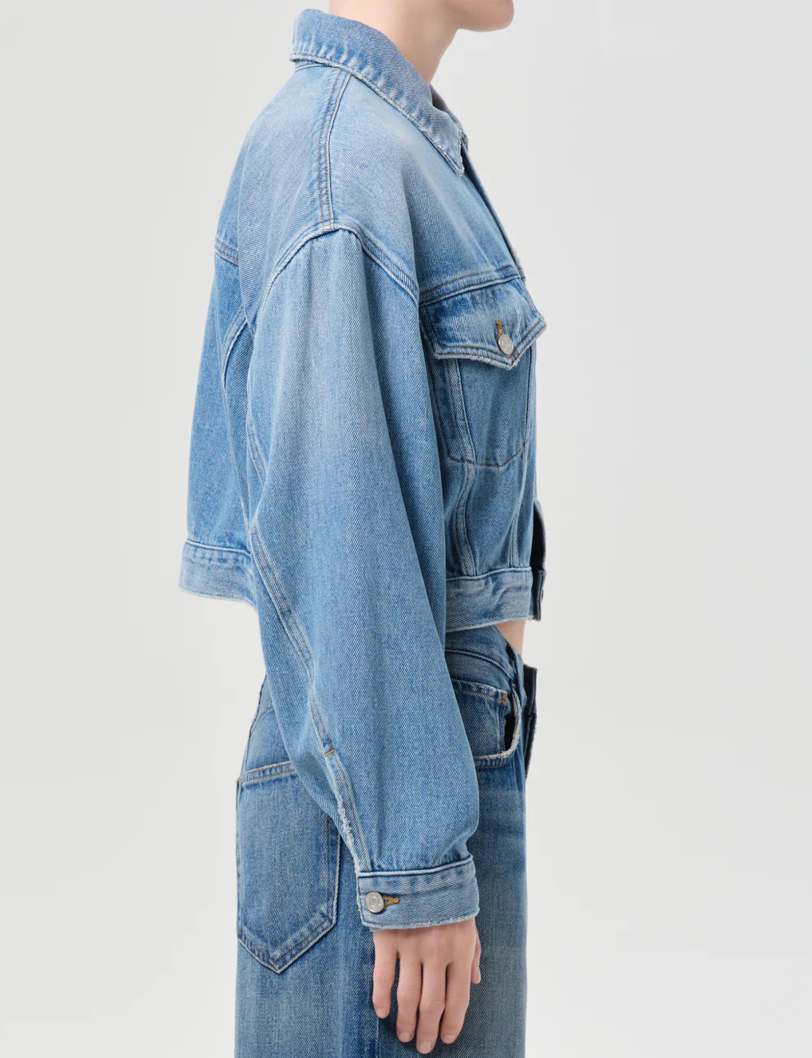 Palmer Jacket, Script