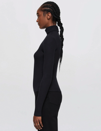 Ribbed Turtleneck, Black