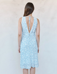 Fayden Maxi Dress, Blue Ditsy Floral