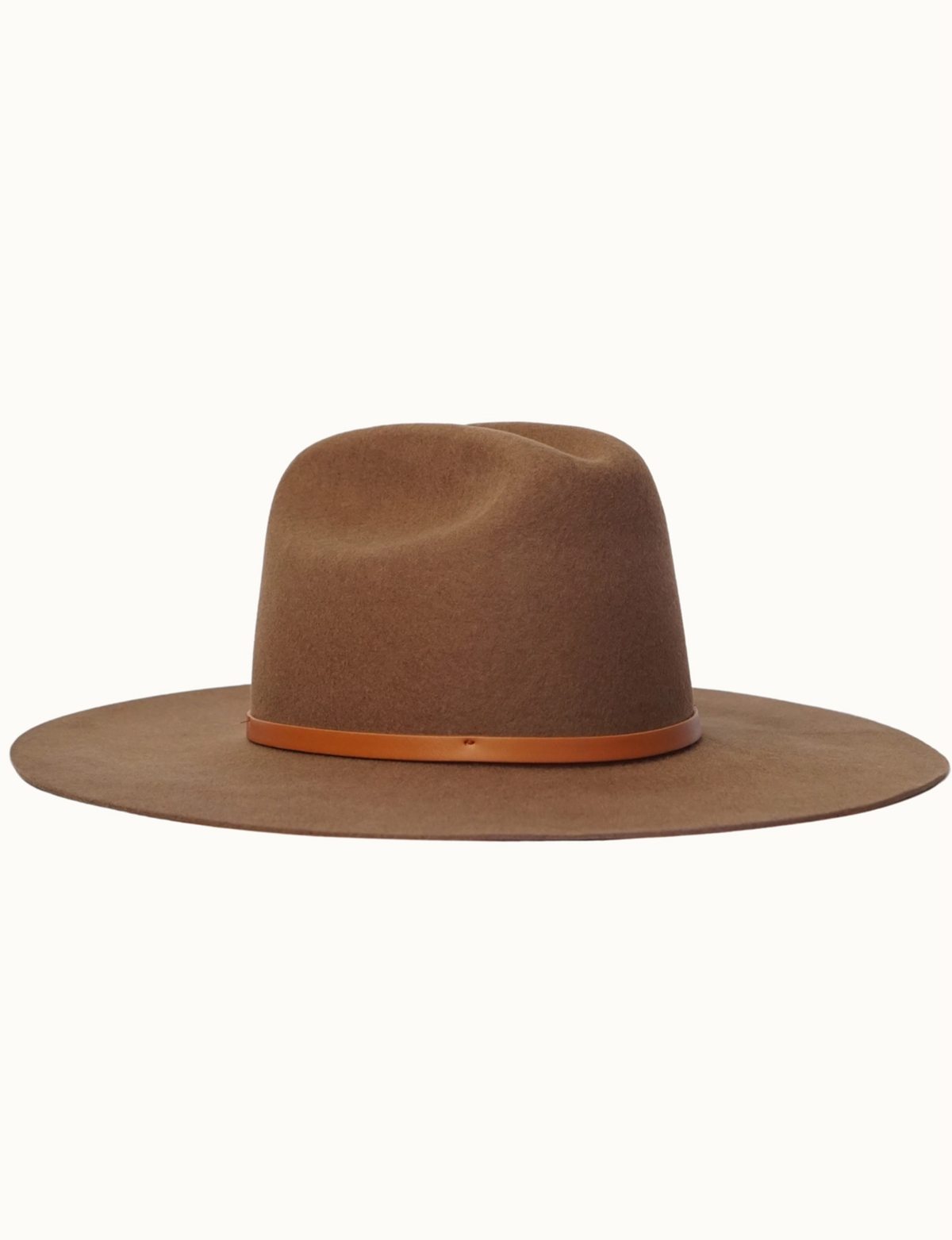 Jordyn Cattleman Rancher, Cognac