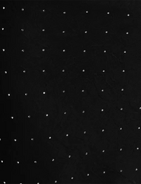 Jeannie Rhinestone Skirt, Black