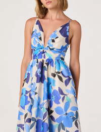 Janna Dress, Blue Floral
