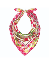 Cowboy Country Wild Berries Bandana, Red Gingham