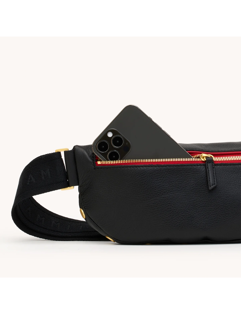Charles Medium Crossbody, Black/Brushed Gold