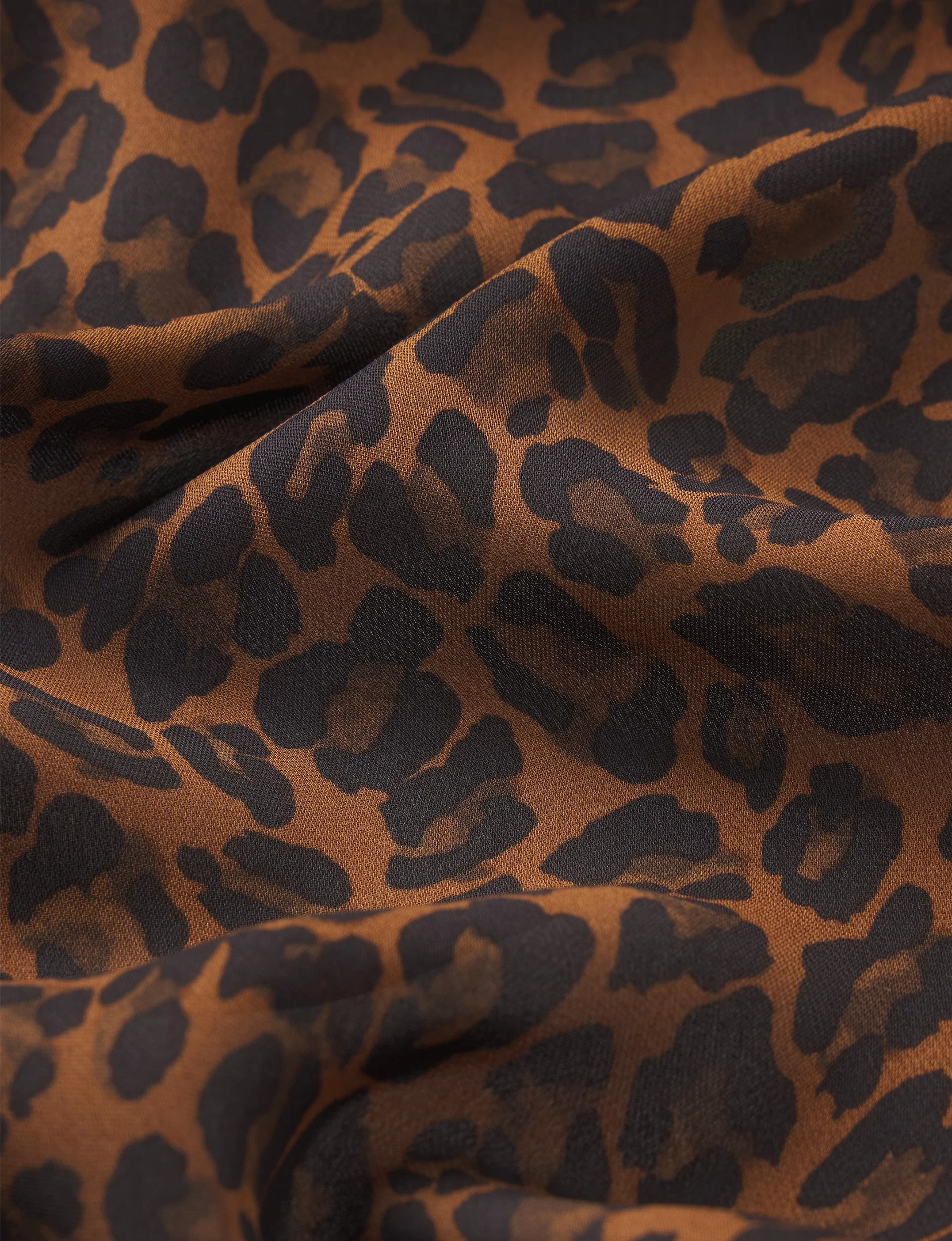 Gillian Top, Leopard