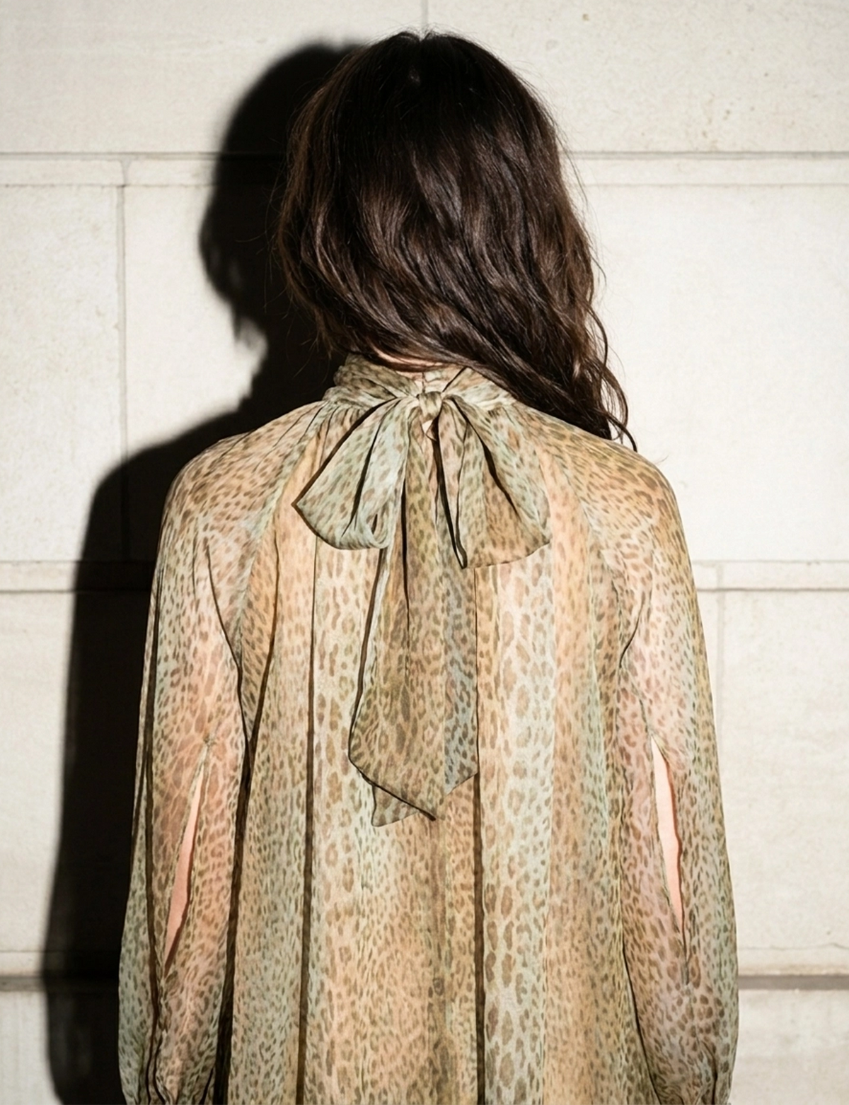 Chiffon Sheer Dress, Animal/Olive Combo