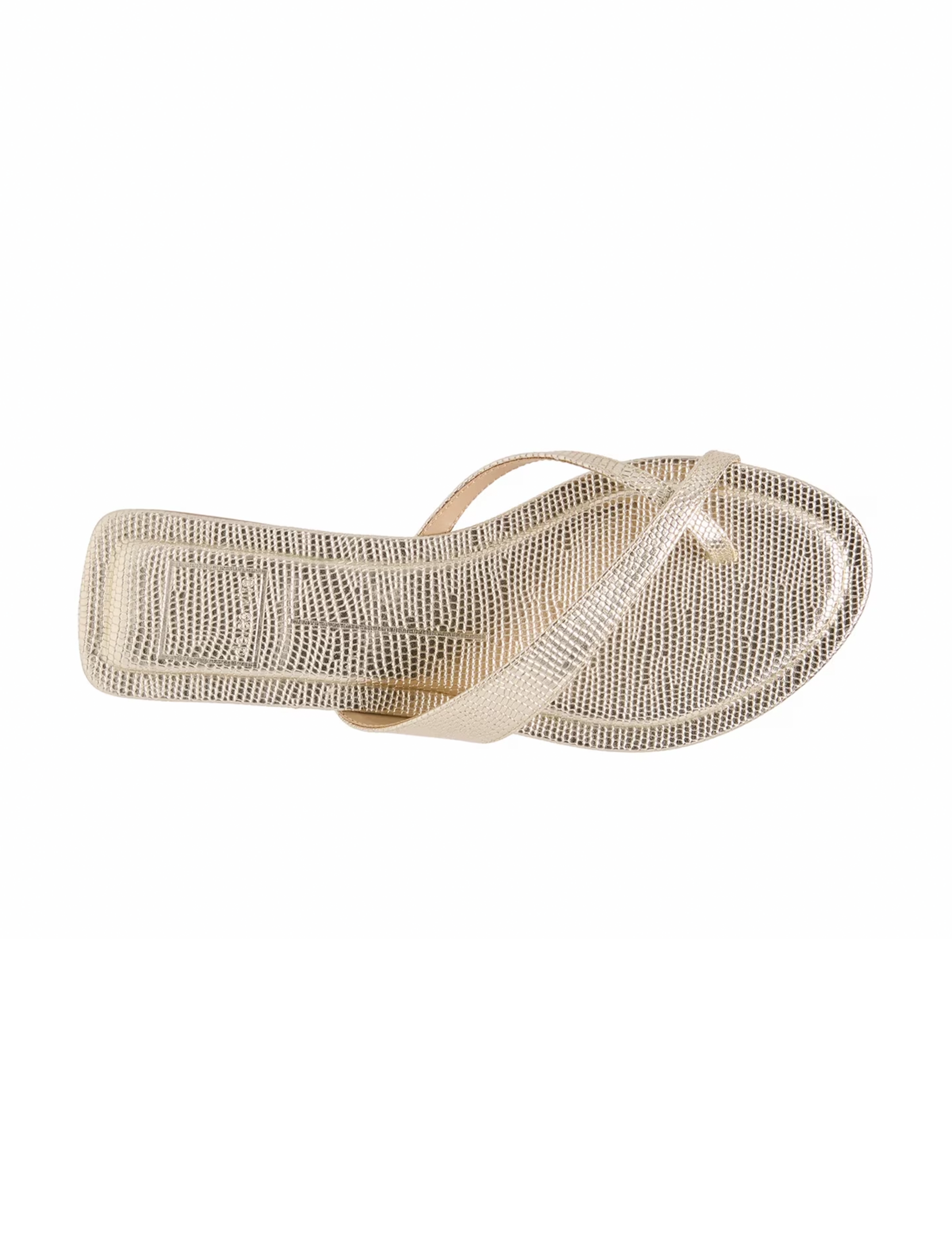 Lenex Flat, Platinum Embossed Stella