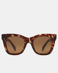 After Hours Polarized, Tortoise/Brown