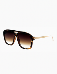 Reina, Tort/Brown Fade