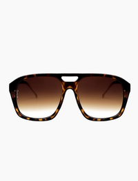 Reina, Tort/Brown Fade