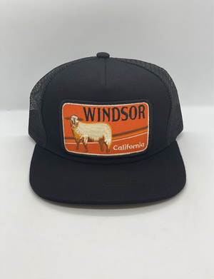 Trucker Hat, Windsor