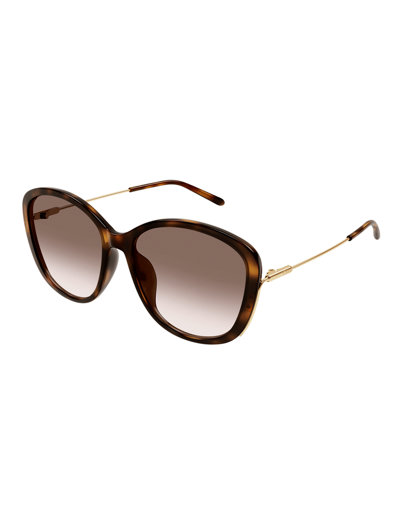 Soft Cat Eye Sunglasses, Havana/Gold/Brown
